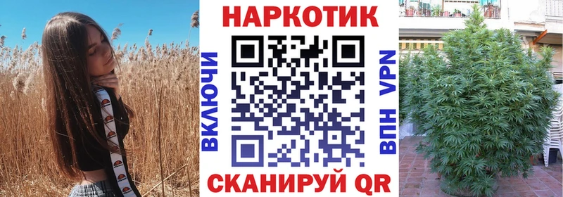 Где купить Кирово-Чепецк Галлюциногенные грибы  Alpha-PVP  Гашиш  COCAIN 