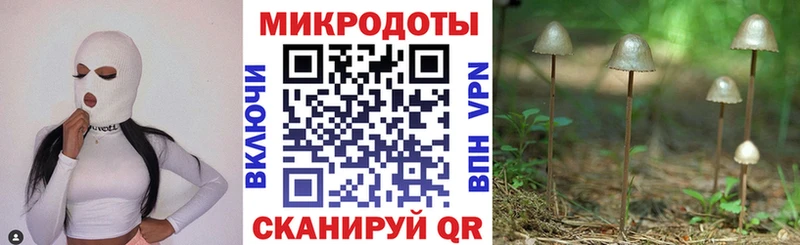 Псилоцибиновые грибы прущие грибы  Кирово-Чепецк 